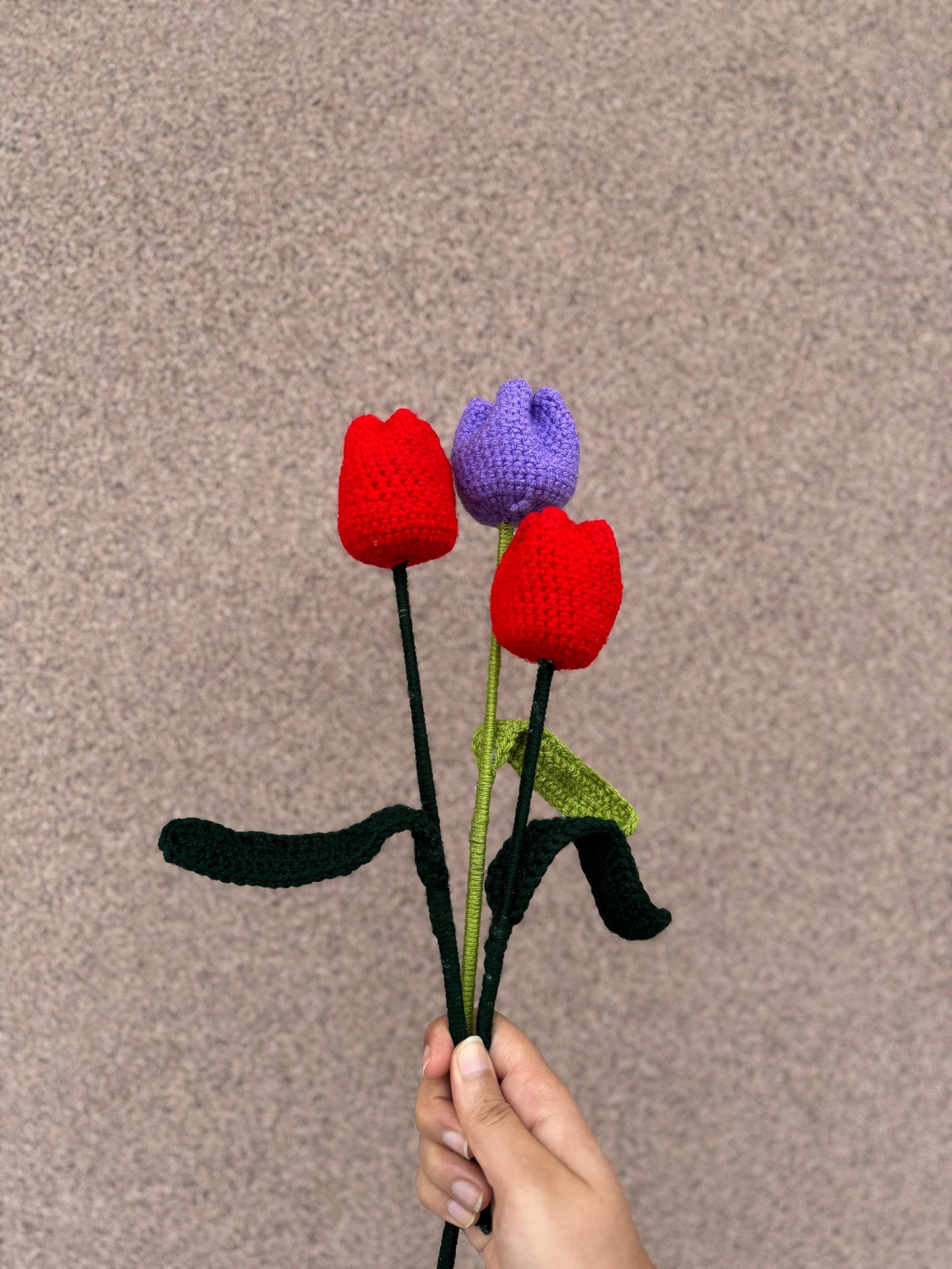 Tulip Flower