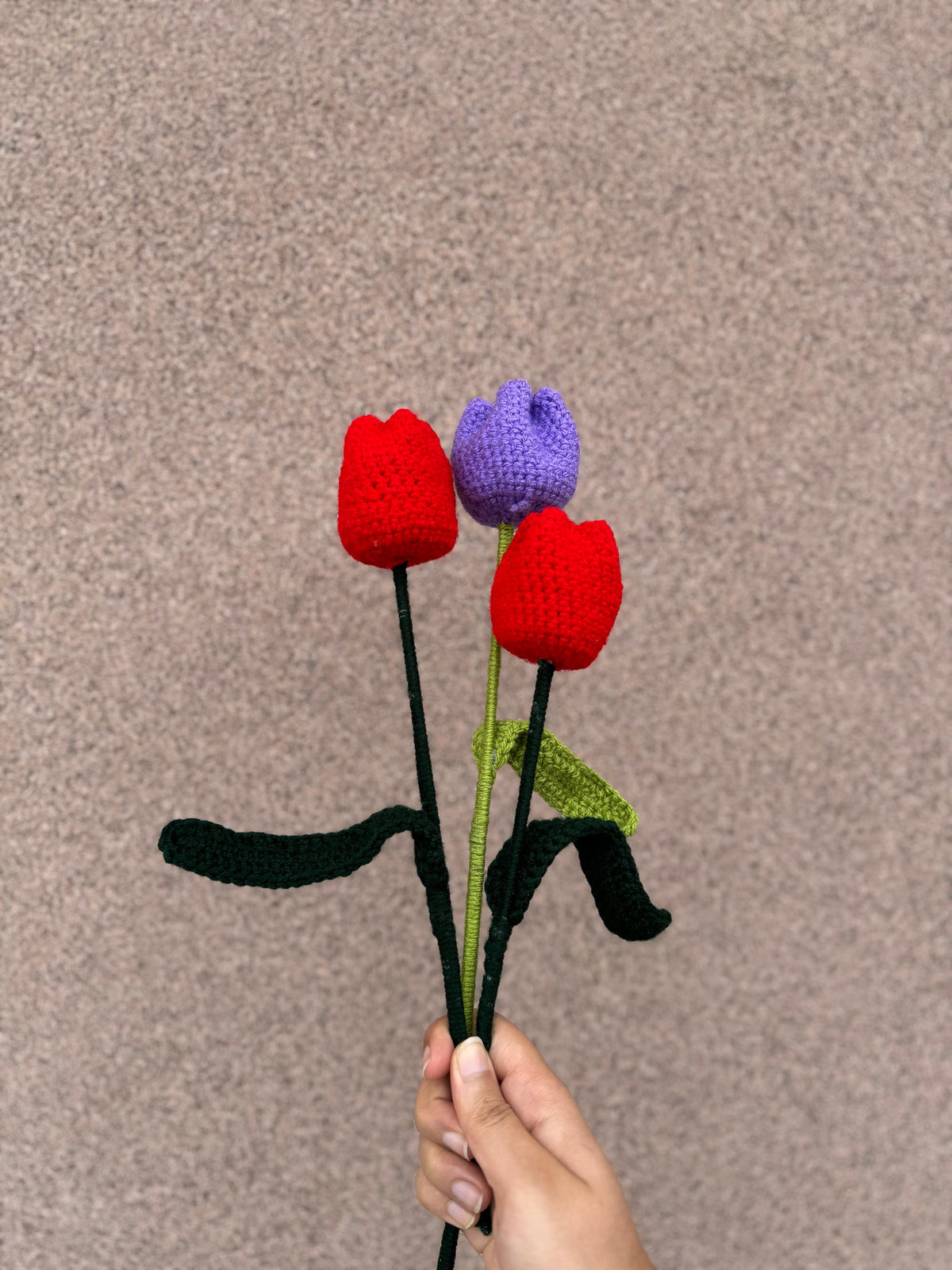 Tulip Flower