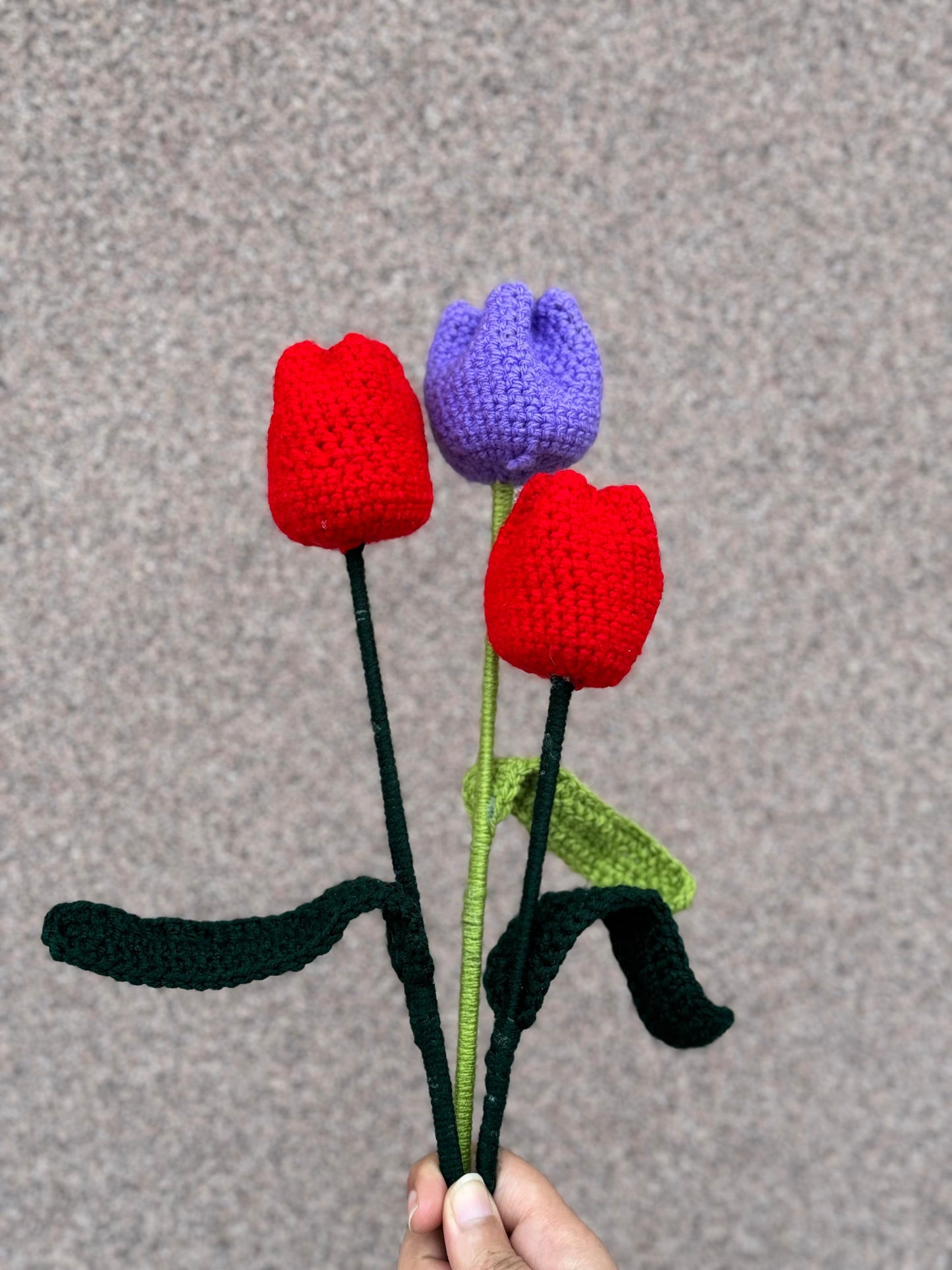 Tulip Flower