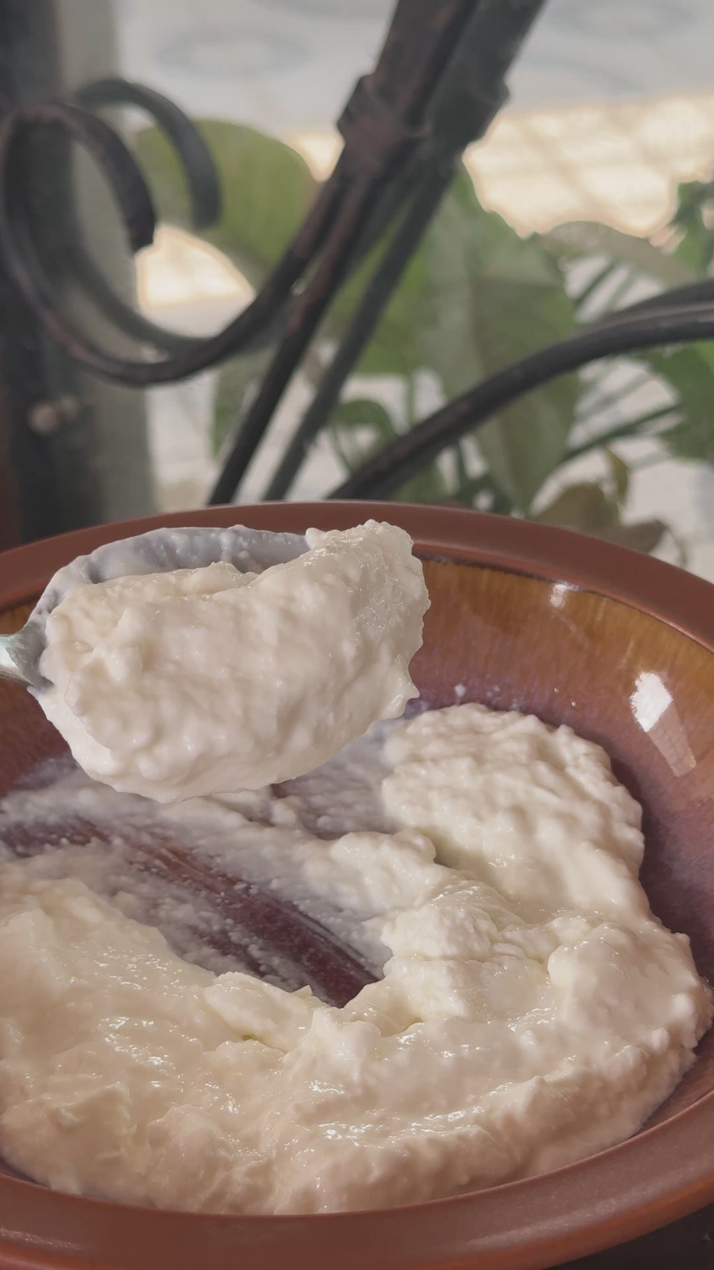 Greek Yogurt Maker